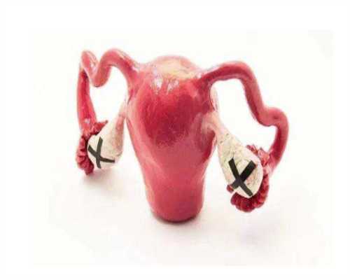 高薪请代妈-合肥做试管婴儿不需要结婚证了吗(合肥做试管婴儿不需要结婚证了吗现在)