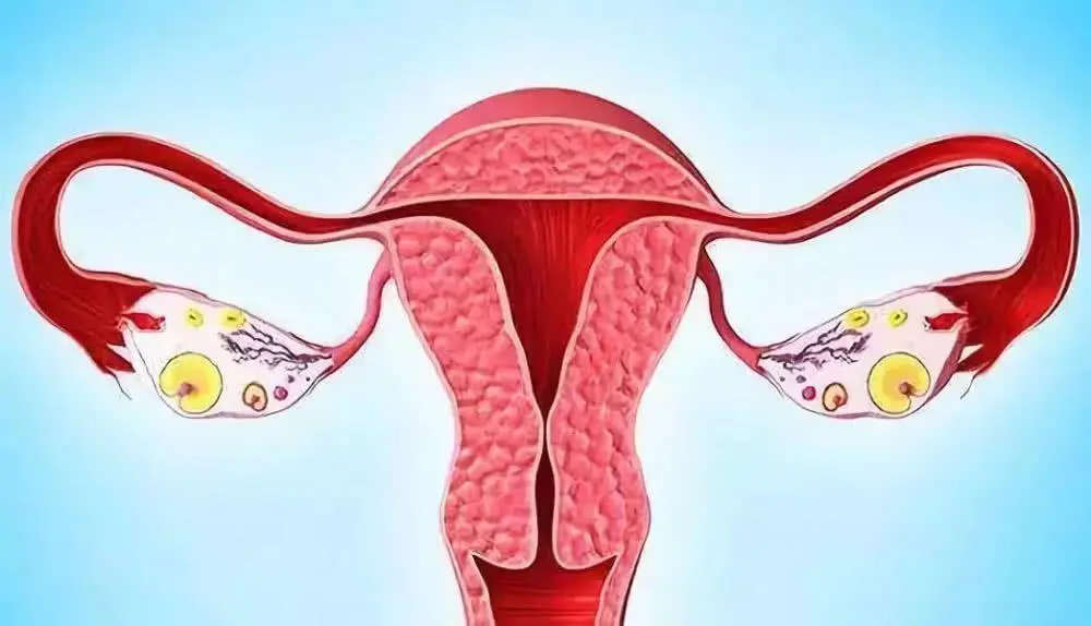 女性做完试管婴儿取卵手术后月经会在当月正常的来吗