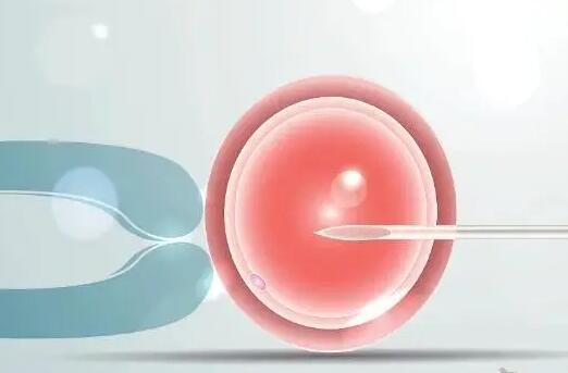 试管婴儿什么时候进周主要与女性月经周期有关