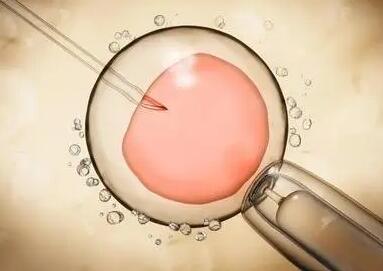 试管胚胎移植前大概什么阶段医会让停甲硝唑片