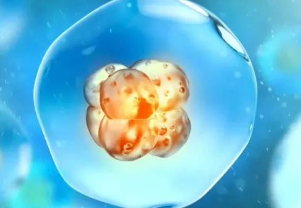 试管婴儿技术能否解决双侧输卵管切除后不孕的问题