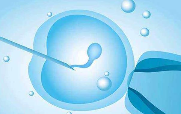 试管婴儿胚胎基因检测多久出结果最新测序技术为您解答