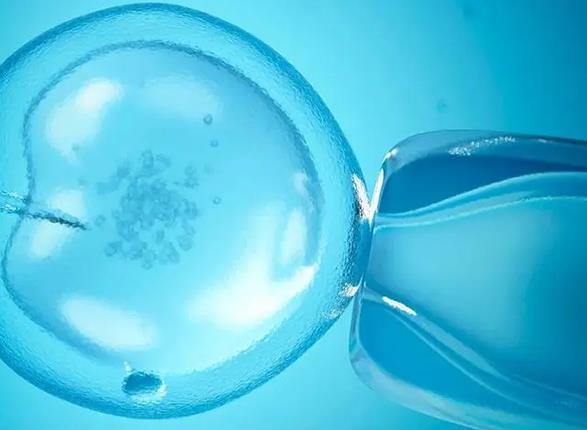 公布河南2024借卵子助孕机构榜单附试管费用详情
