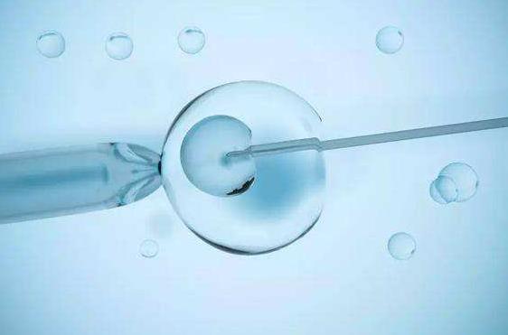 试管冻胚移植的成功率高吗，做好这些事能提高冻胚移植着床率